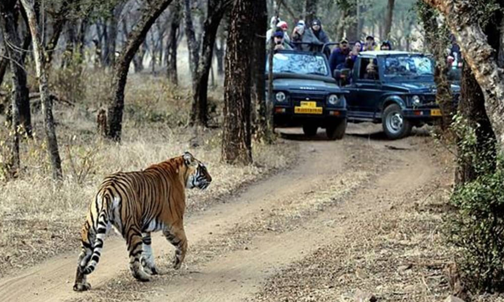 Day 4: Agra to Ranthambore