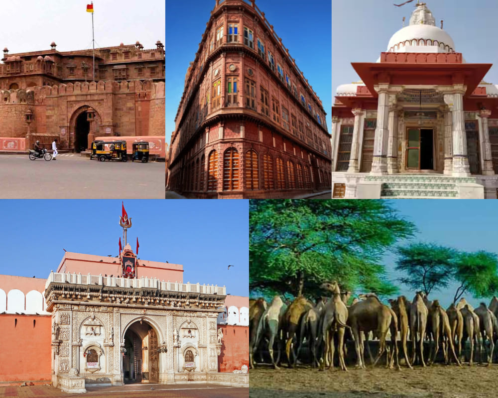 Bikaner:- Junagarh Fort, Rampuriya Haweli, Jain Temple, Karni Mata Temple, National Camel Research Centre