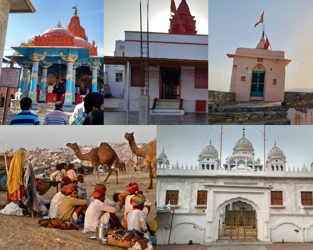 Pushkar:- Brahma Temple, Savitri Devi Temple, Gayatri Devi Temple, Pushkar Fair Ground, Gurudwara.