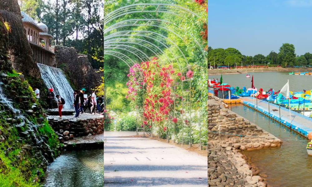 Chandigarh:-Rock Garden, Rose Garden, Sukhna Lake Pinjore Garden