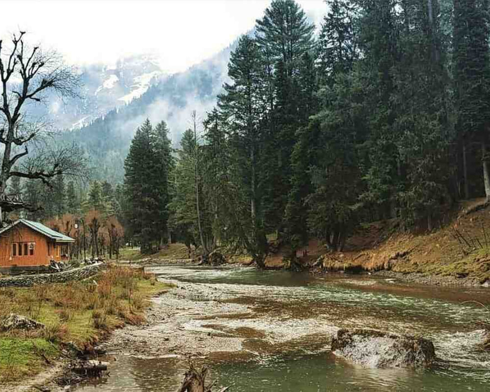 Pahalgam Local Sightseeing :- Aru Valley,Betaab Valley,chandanwadi