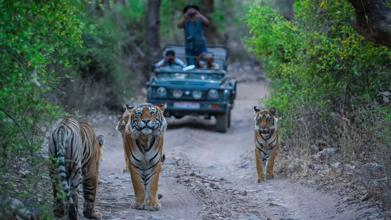 Day 3: Drive from Nainital to Jim Corbett