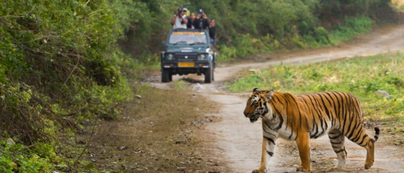 2N 3D Delhi To Jim Corbett Tour