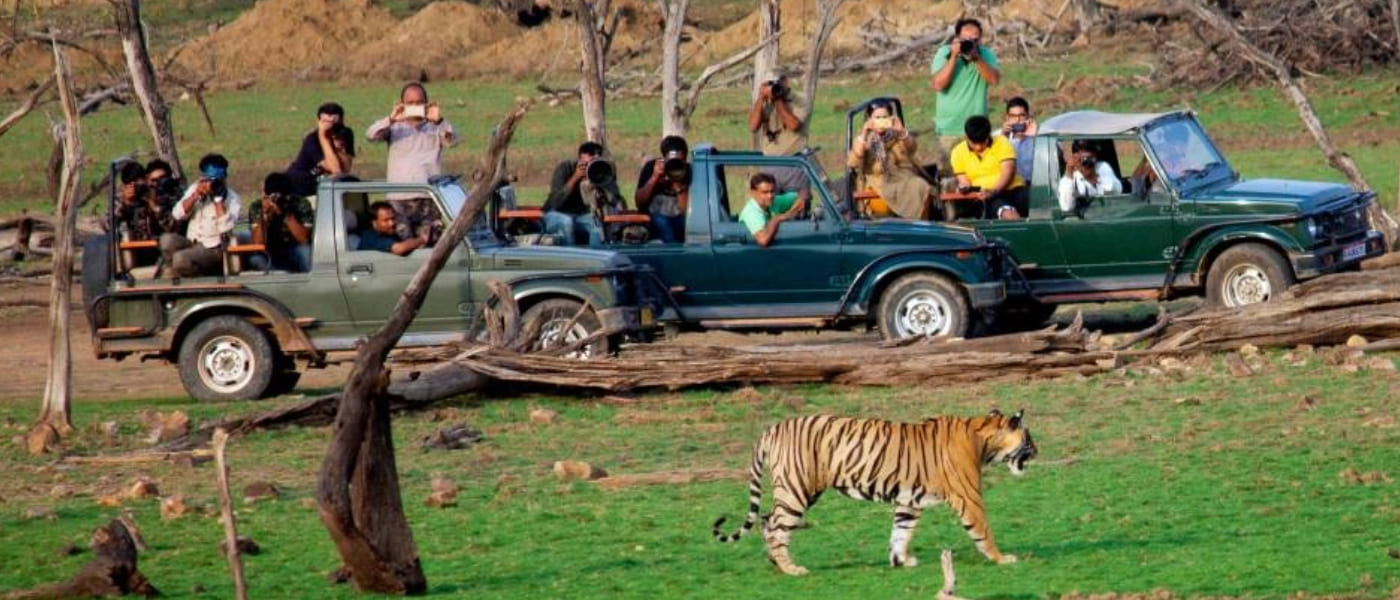 2N 3D Delhi to Ranthambore Tour